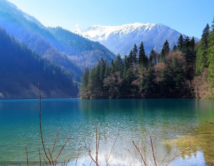 中青旅下面的成都青年旅行社与四川省中国青年旅行社有什么区别