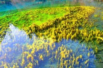 四川所有景点线路，九寨沟汽车团，峨眉乐山游，稻城亚丁