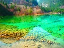 九寨沟+黄龙+熊猫乐园/都江堰 2-8 人小团三日游