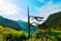 成都到九寨沟黄龙旅游，三天时间如何按排