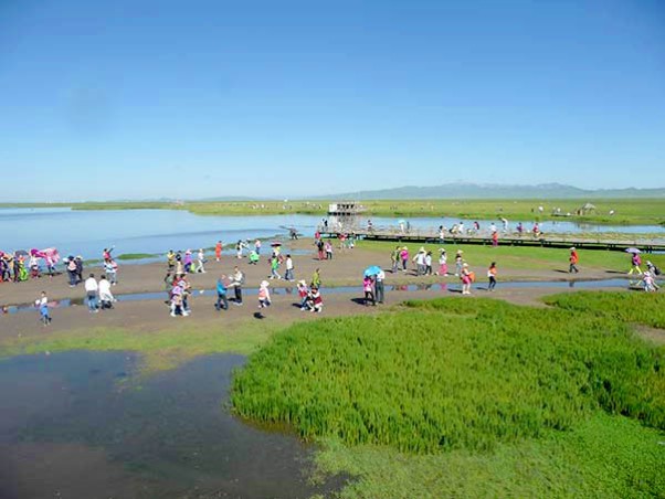 P1190708