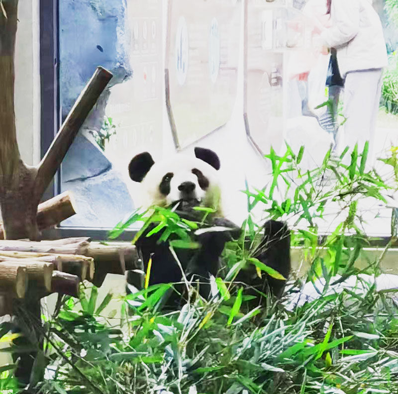 玩转锦官城三国主题亲子游3天2晚