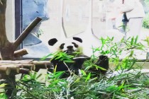 玩转锦官城三国主题亲子游3天2晚