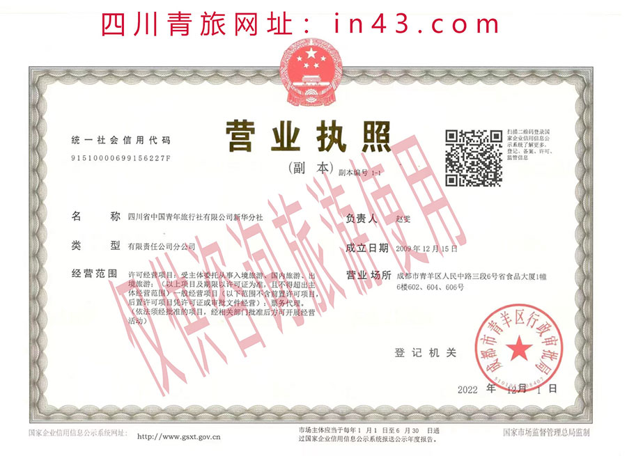 青年旅行社营业执照900